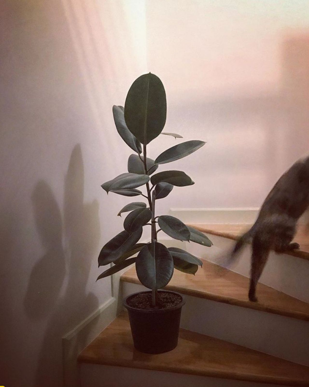 PHOTO : IG @ladybug_room