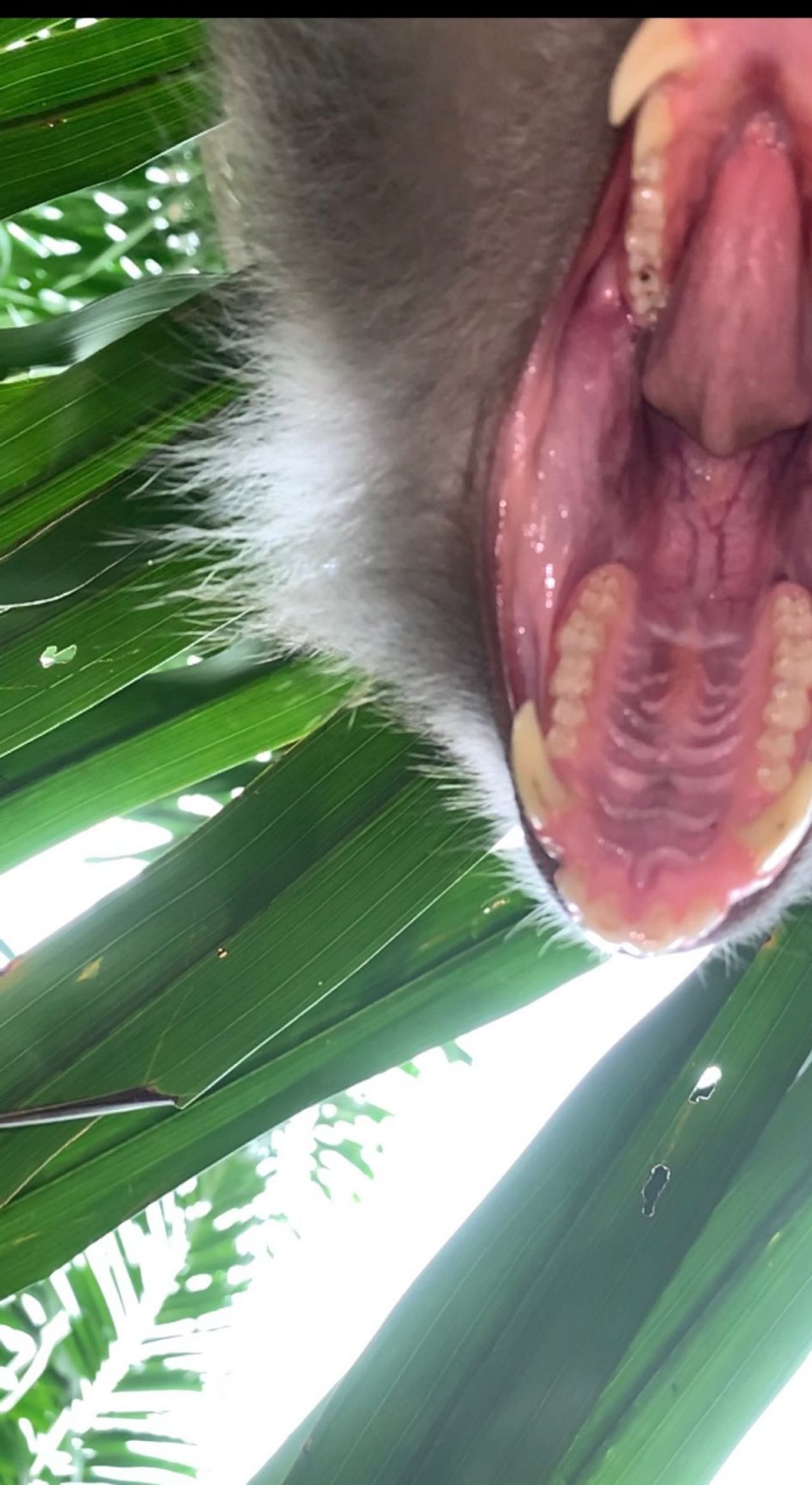 ภาพจาก ทวิตเตอร์ @Zackrydz