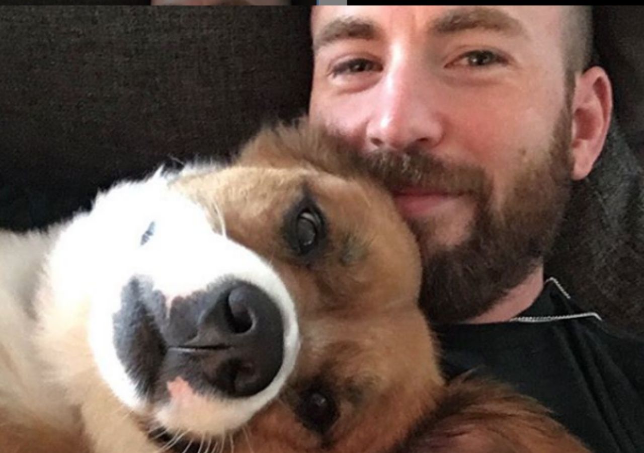 ภาพ IG chrisevans : คริส อีแวนส์ พระเอกผู้รับบท ‘กัปตันอเมริกา’กับสุนัขแสนรัก