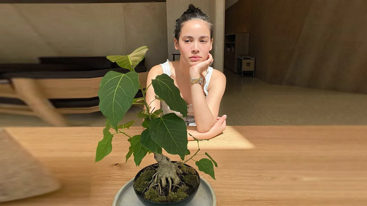 แม้ว่าต้นไม้ต้นนี้ ญาญ่า-อุรัสยา จะไม่ได้ถือหรืออุ้ม แต่แค่นั่งดูเฉยๆอย่างนี้ก็เหอะ เชื่อว่าราคาของมันจะต้องพุ่งพรวดรวด เดียว 10 เท่าอย่างน้อย ฉะนั้นขอเตือนชาวสายเขียวรีบไปซื้อซะก่อน.