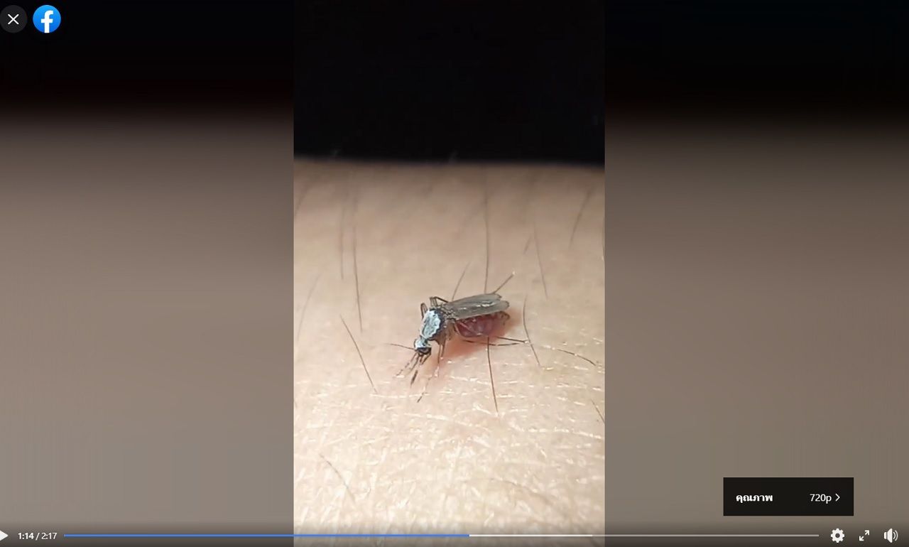 คลิปจากผู้ใช้งานเฟซบุ๊กรายหนึ่ง