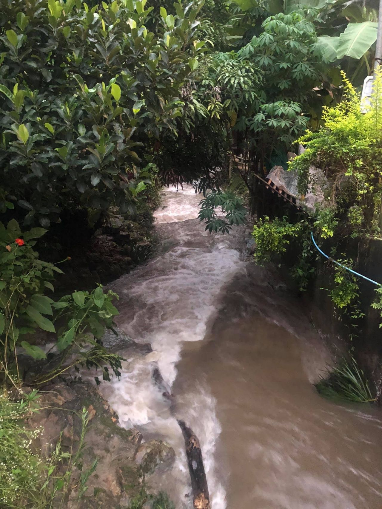 ภาพถ่ายโดย แม่กำปองป้ายแดง