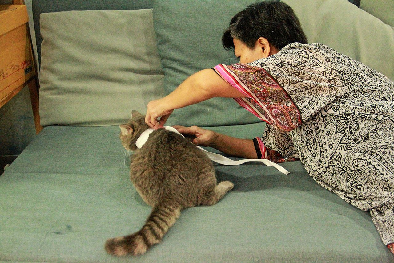 มาๆให้แม่วัดก่อน