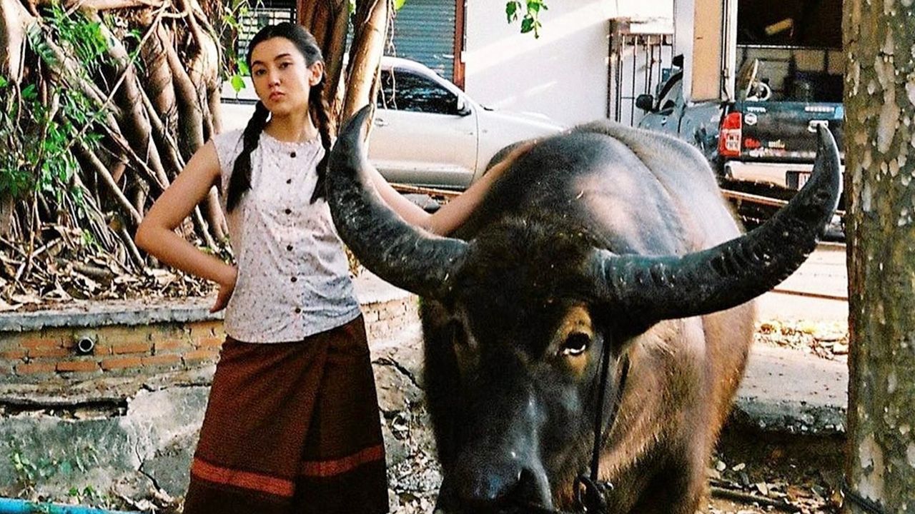 จังหวะมันได้! เบลล่า–ราณี โพสต์ภาพคู่กับ ทุยทุย เนื่องใน “วันอนุรักษ์ควายไทย” พร้อมกับฝากให้รอชมภาพยนตร์ที่ตนเล่นเรื่อง “อีเรียมซิ่ง” เร็วๆนี้...รอคลายล็อกเมื่อไหร่ได้เจอกันแน่.