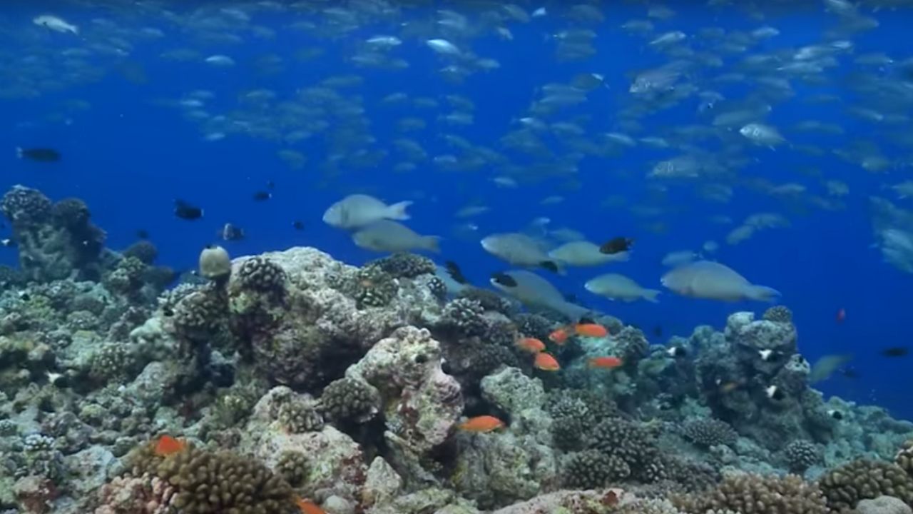 ภาพจาก https://www.youtube.com/watch?v=y6tdGVTgmm4