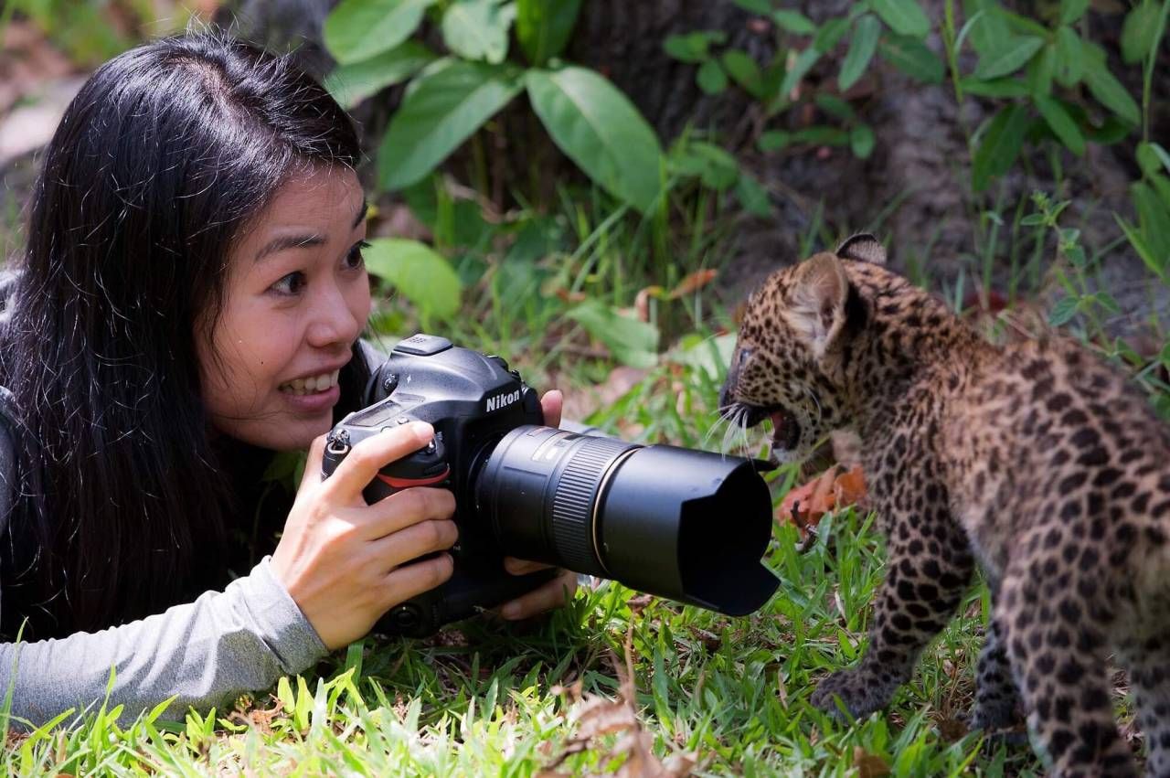 Dara Naphaphet  ผู้ถ่ายภาพลูกเสือดาวทั้ง 2 ตัว