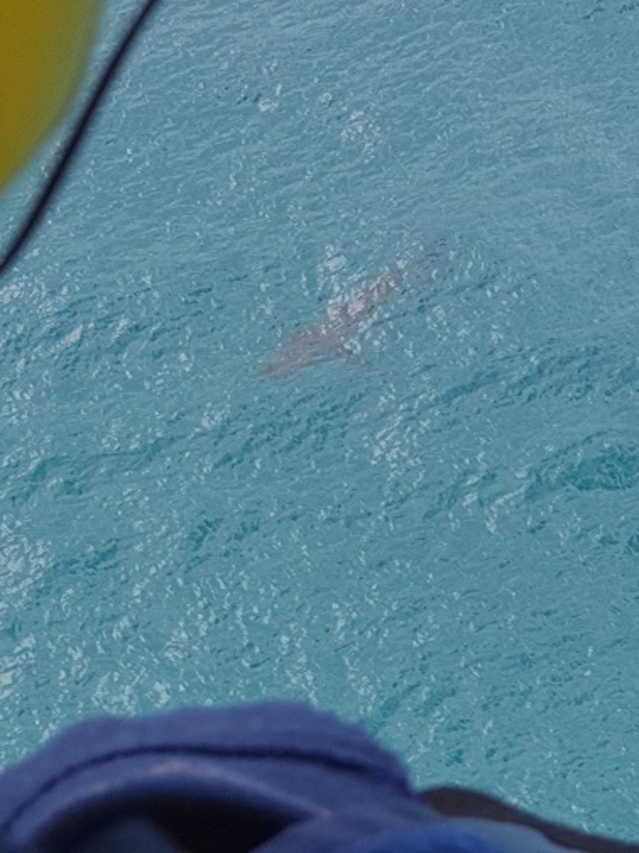 (ภาพจาก Westpac Lifesaver Rescue Helicopter Service QLD)