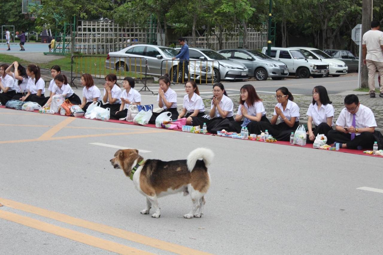 พระท่านกำลังมานะครับน้องๆ 