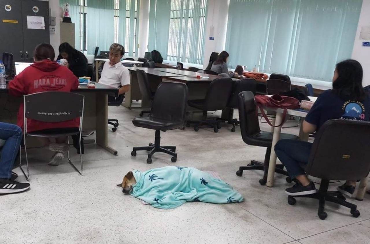 นอนห้องแอร์ก็ต้องห่มผ้า เดี๋ยวเป็นหวัดครับ