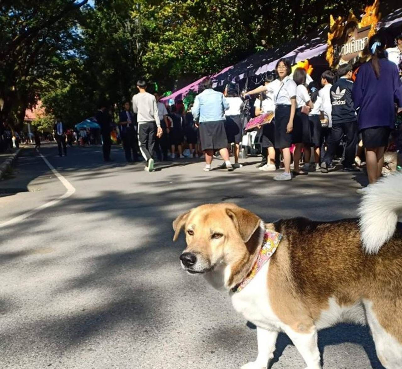 ตื่นเช้าแดดมันแยงตาครับ