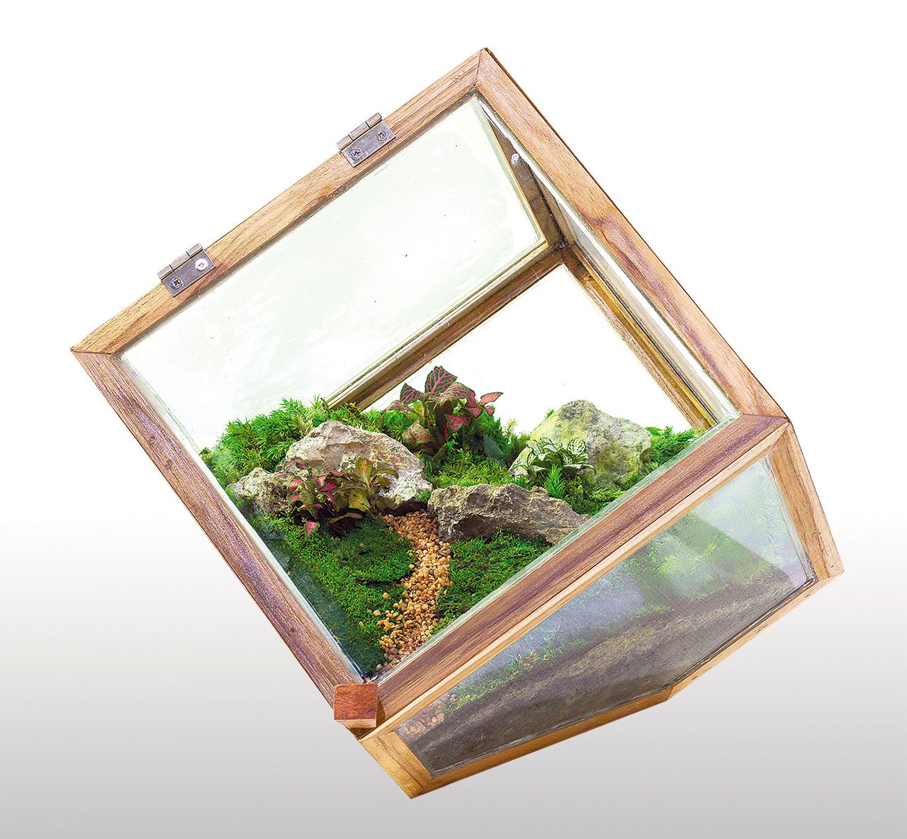 กรีนเฮ้าส์ทรงสี่เหลี่ยมท่ีออกแบบ ในแนวเฉียง 45 องศา โครงไม้สัก กรุกระจก ขนาด 25×25×35 เซนติเมตร ราคา 1,500 บาท จากละเมาะเคาะประตู