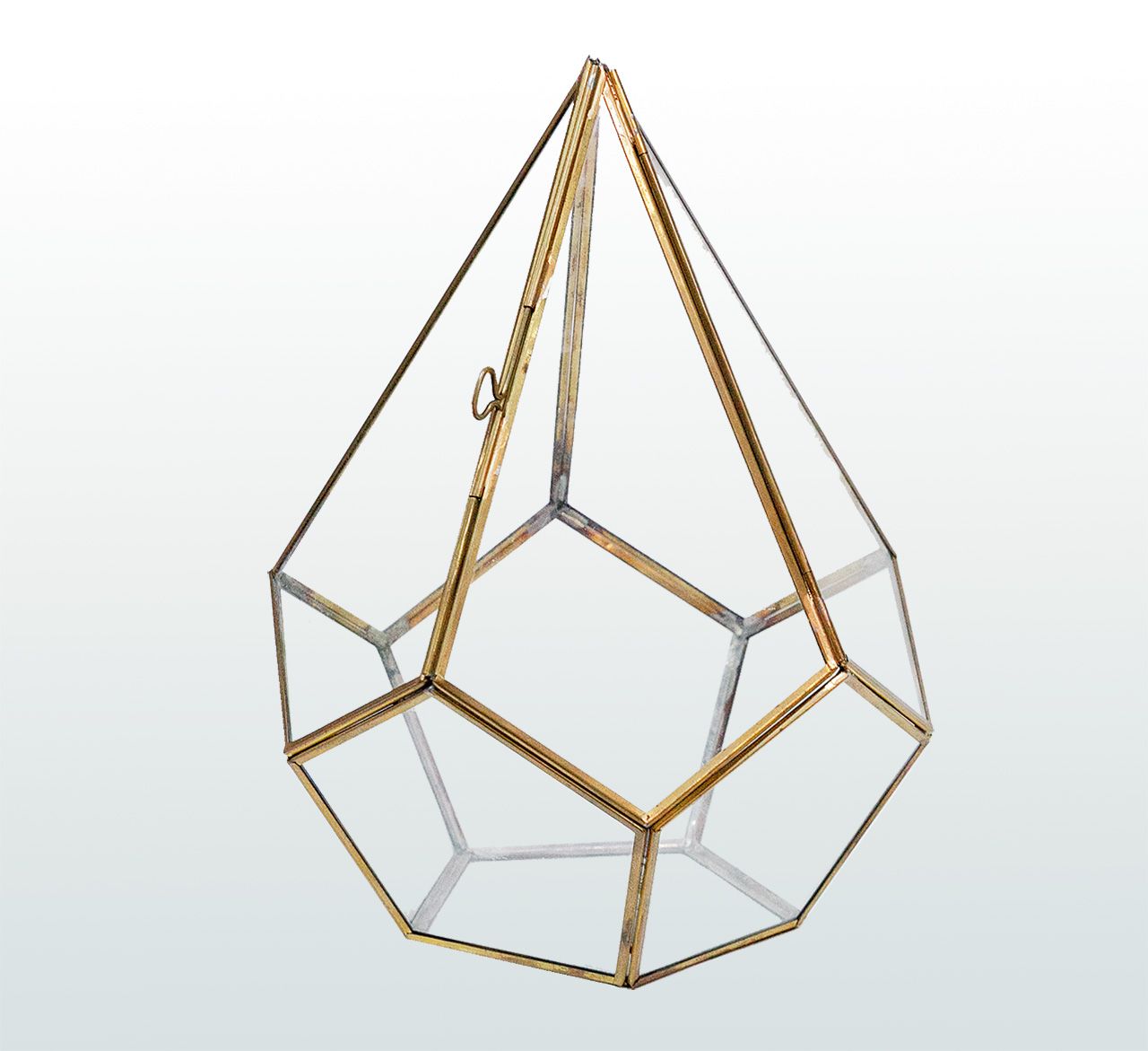 กลาสเฮ้าส์สําหรับปลูกแคคตัสทรงห้าเหลี่ยม โครงทองเหลืองกรุกระจกใสโดยรอบ ขนาด 20 × 20 × 27 เซนติเมตร ราคา 1,500 บาท จาก tien.anan