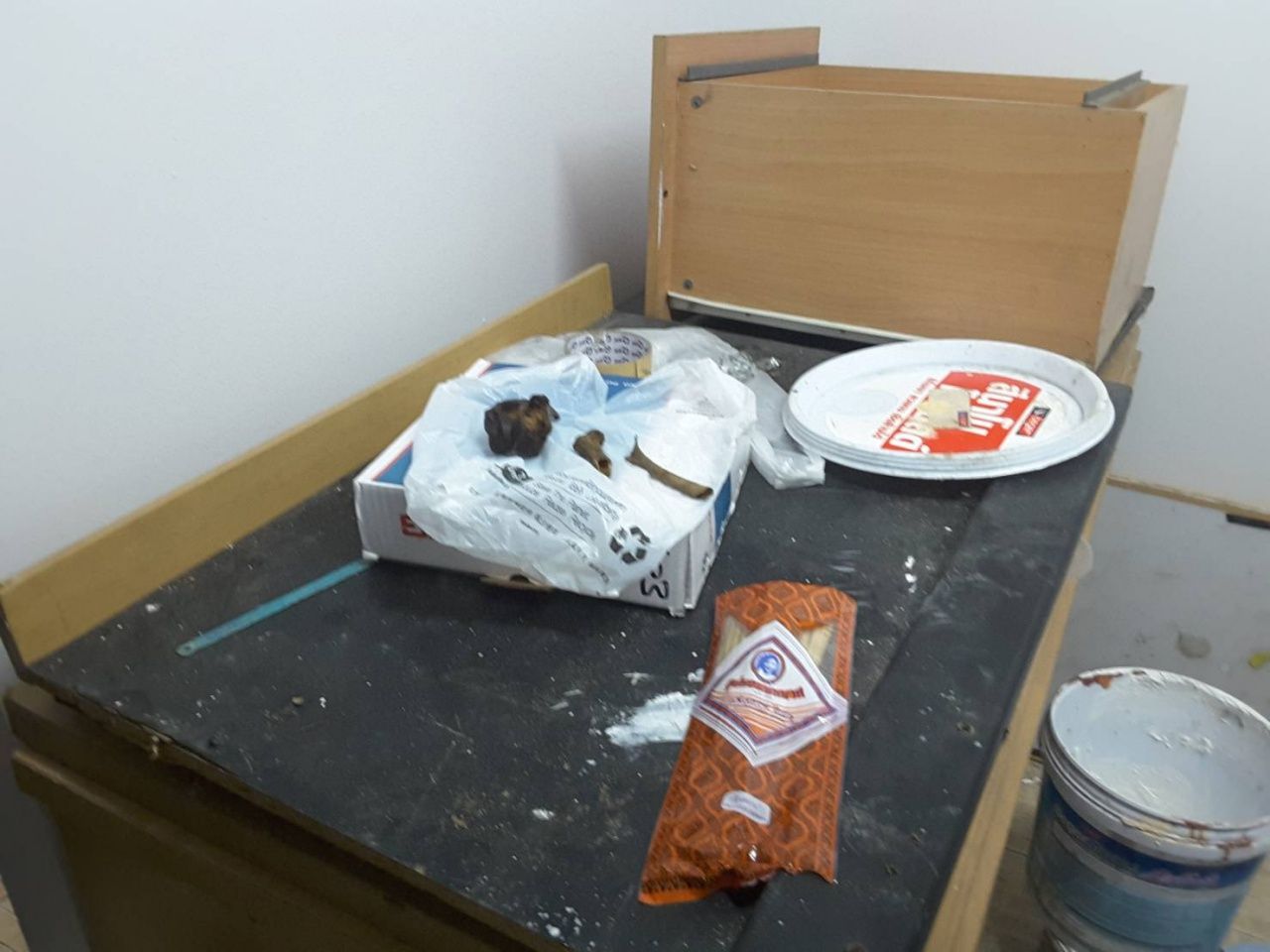 ชิ้นส่วนกระดูกที่ขุดเจอ