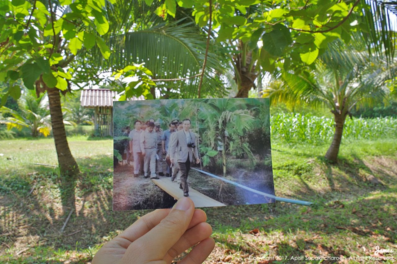 25 มกราคม 2536 ในหลวง รัชกาลที่ 9 เสด็จฯ ทอดพระเนตรการดำเนินงานโครงการพัฒนาพื้นที่บริเวณวัดมงคลชัยพัฒนาอันเนื่องมาจากพระราชดำริ จ.สระบุรี