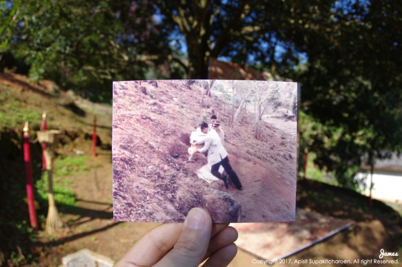 16 กุมภาพันธ์ 2527 ในหลวง รัชกาลที่ 9 ทรงปลูกต้นแมคาเดเมีย ณ ศูนย์วิจัยเกษตรหลวงเชียงใหม่ (ขุนวาง)