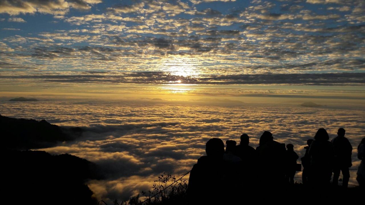 นทท.ที่รอชมทะเลหมอกของแหล่งท่องเที่ยวบนยอดดอยสูง ในพื้นที่ของ อ.เวียงแก่น อ.เทิง จ.เชียงราย ไม่ผิดหวัง แม้จะมีฝนตกในบางพื้นที่ ในเขต จว.เชียงราย แหล่งที่มา ผู้ประกอบการท่องเที่ยว อ.เวียงแก่น