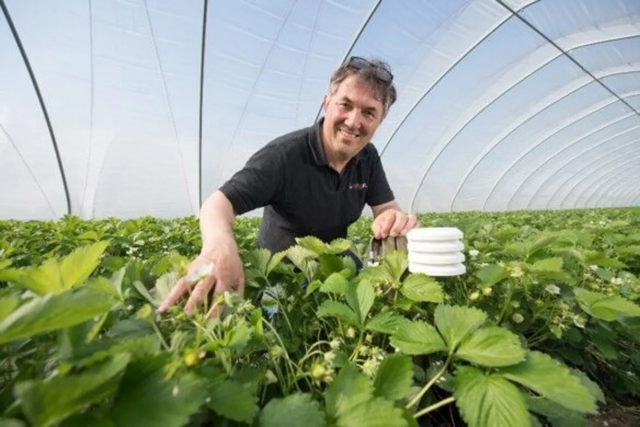 Smart Farm