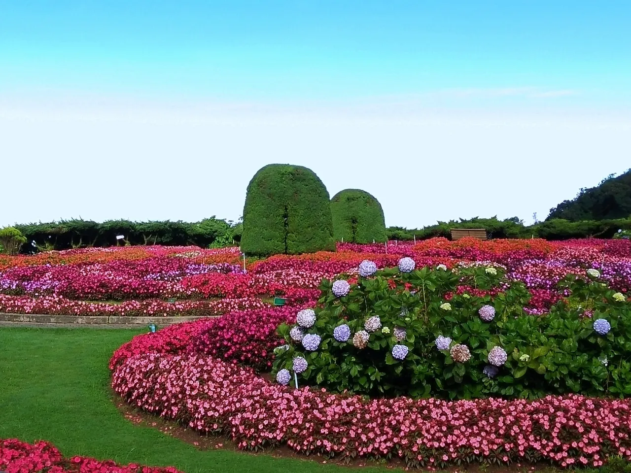 สัมผัสหนาวแรกของปี! กราบ 2 พระมหาธาตุแห่งราชา-ราชินีบนยอดอินทนนท์
