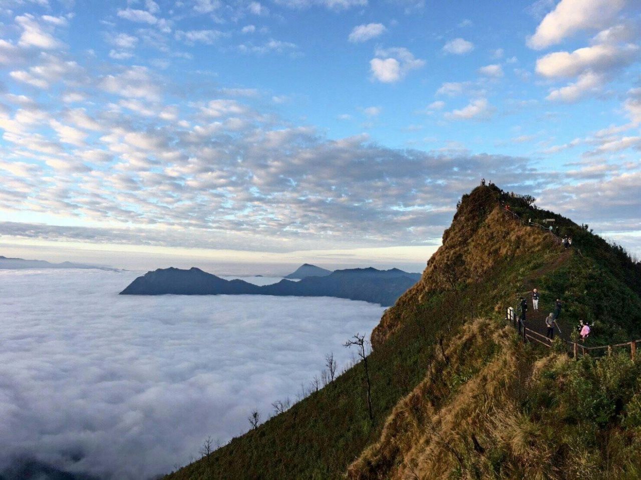 ทะเลหมอกยามเช้ายอดดอยภูชี้ดาว อ.เวียงแก่น จ.เชียงราย (ที่มา : ผู้ประกอบการภูชี้ดาว)