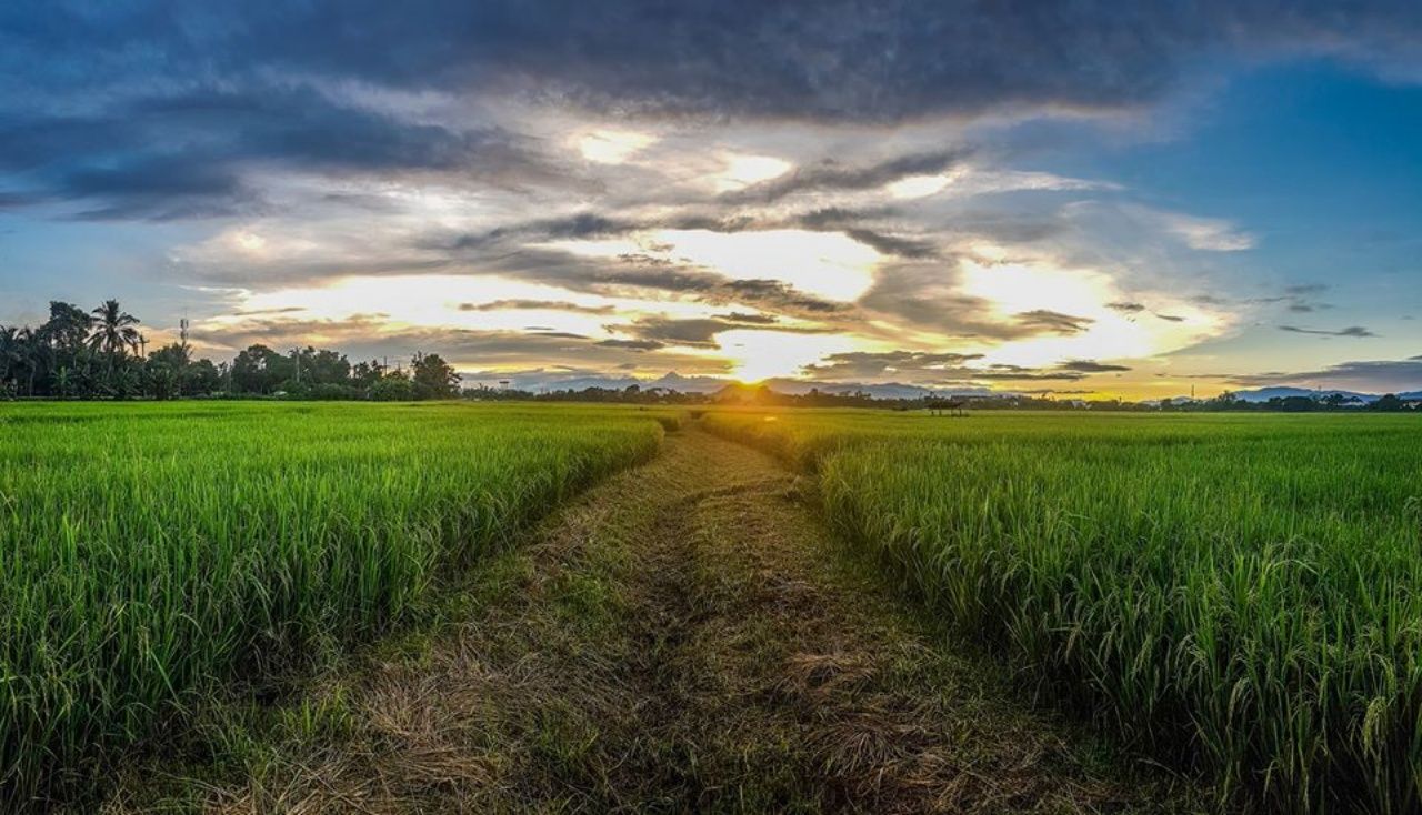 บริเวณรอบตัวเมือง พื้นที่ ต.รอบเวียง อ.เมือง จ.เชียงราย (ที่มา : เฟซบุ๊ก 'อ้าย เค')