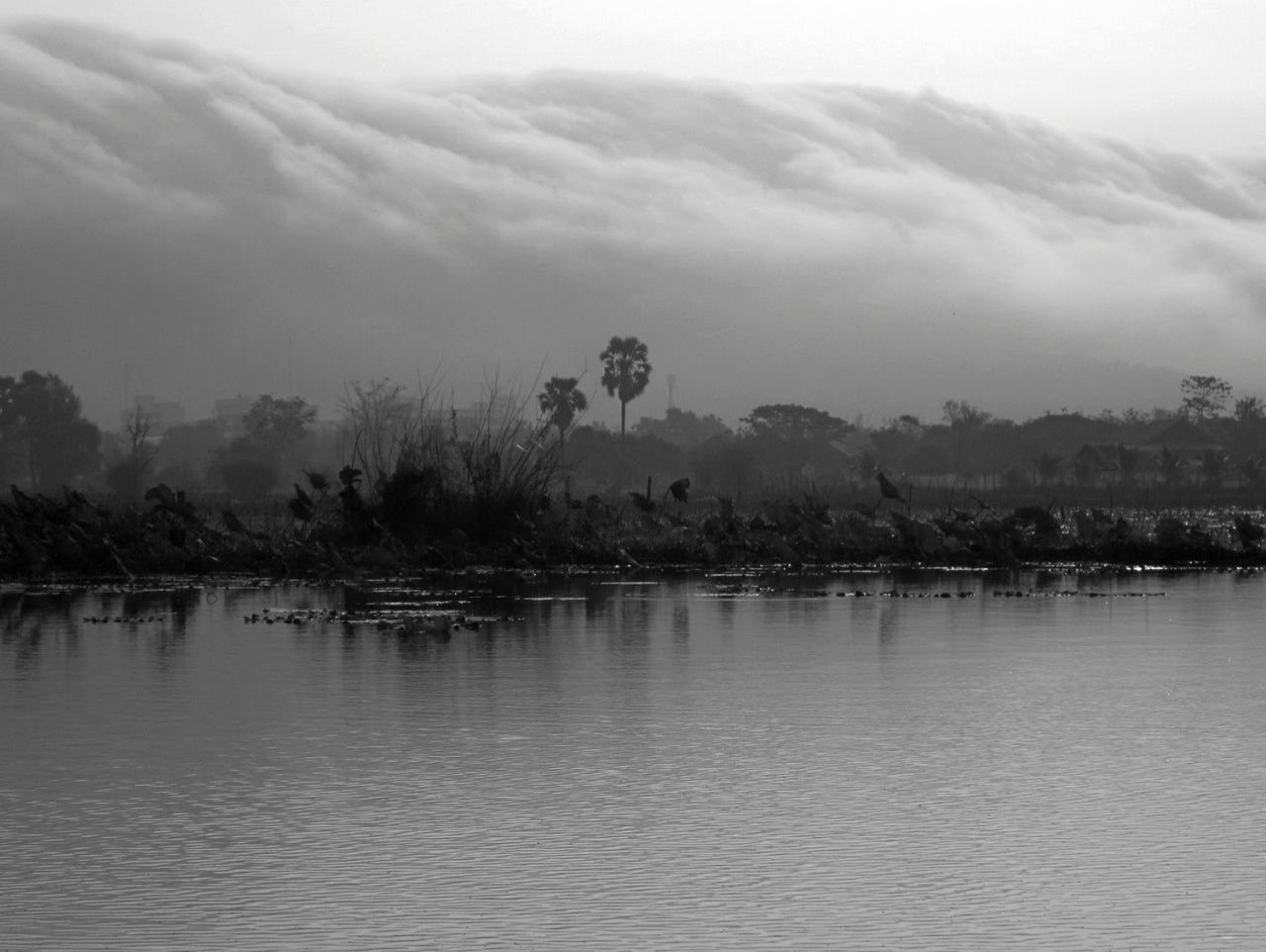 18 มี.ค. 55 เกิดเมฆสึนามิ ที่ จ.หนองบัวลำภู