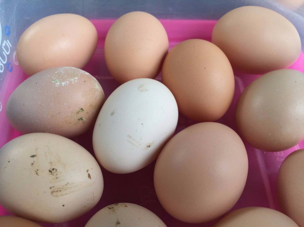 ขาวโดดอยู่ฟองเดียว