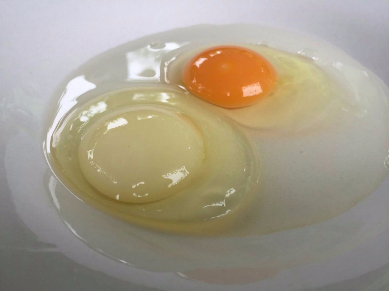 ตอกดูเทียบกับไข่จากแม่ไก่ตัวอื่น