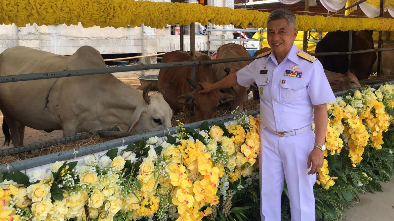 ว่าที่จก.ธน.ปล่อยโคกะบือ