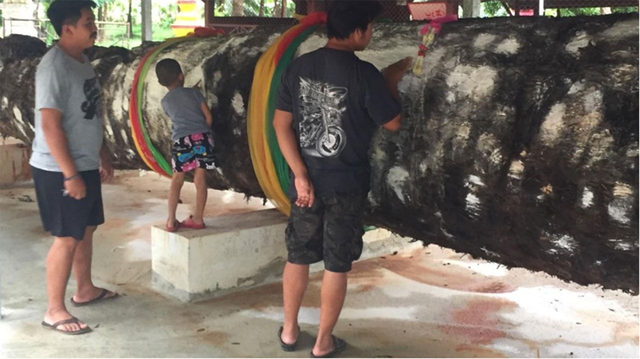 แม่ตะเคียนทองสร้อยสังวาลย์แห่งคลองบางสะพาน 