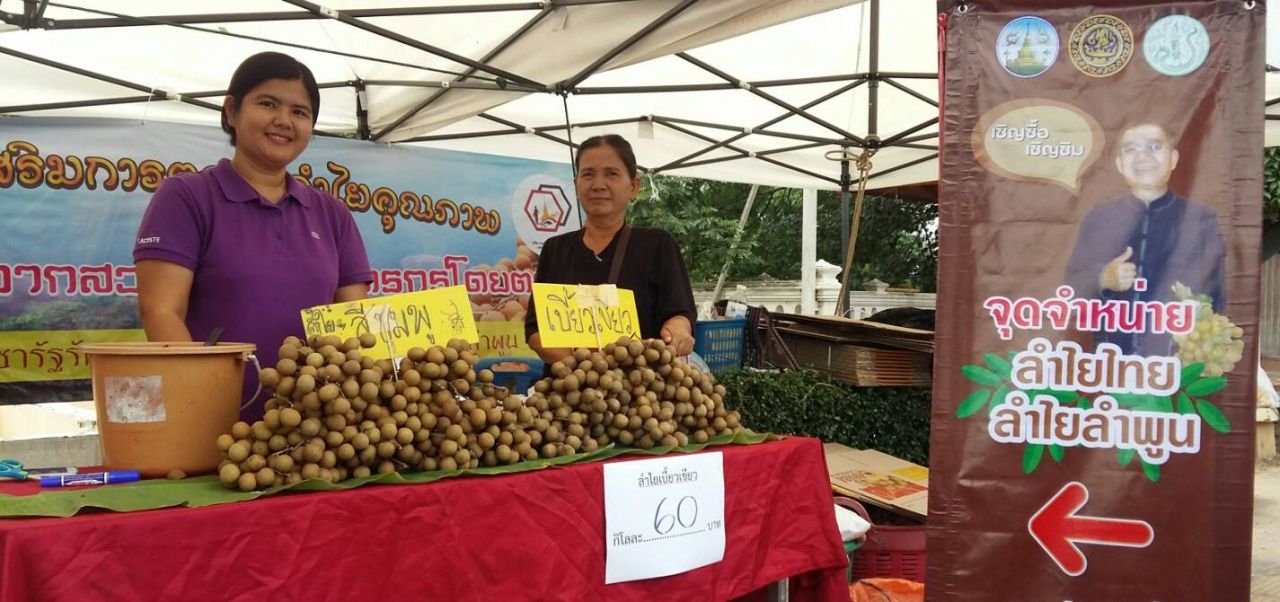 ลำไยพันธุ์เบี้ยวเขียวราคา กก. 60 บาท