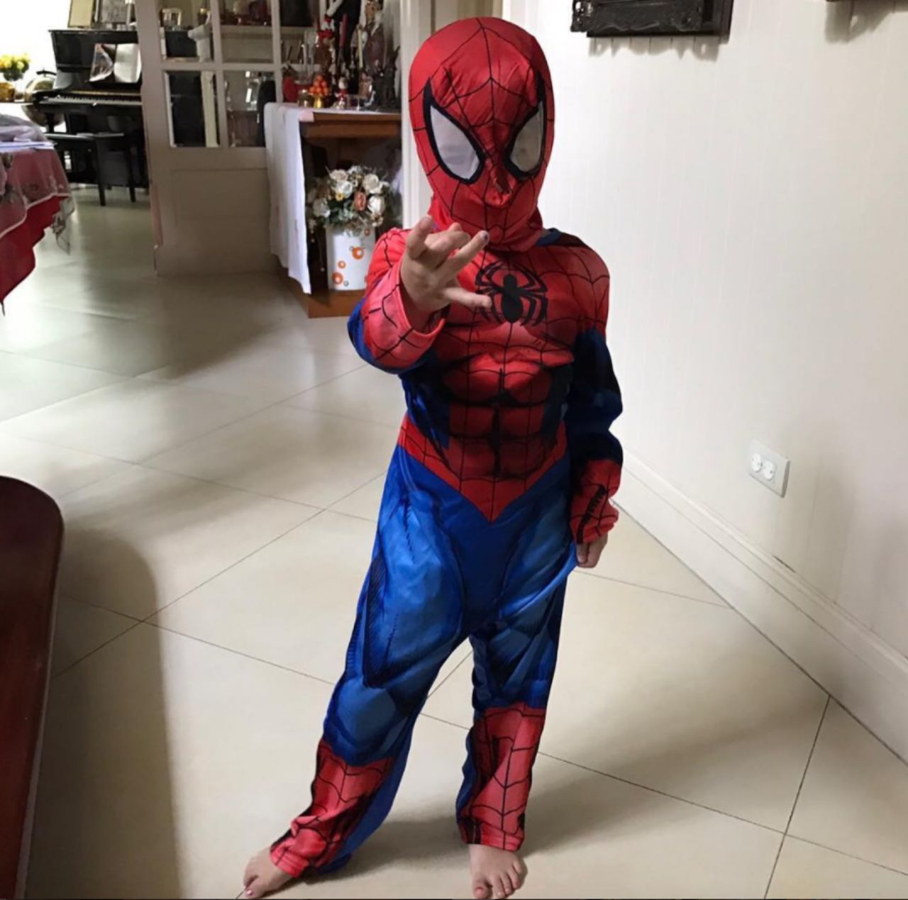 ในบ้านแอบมีเจ้าแมงมุม