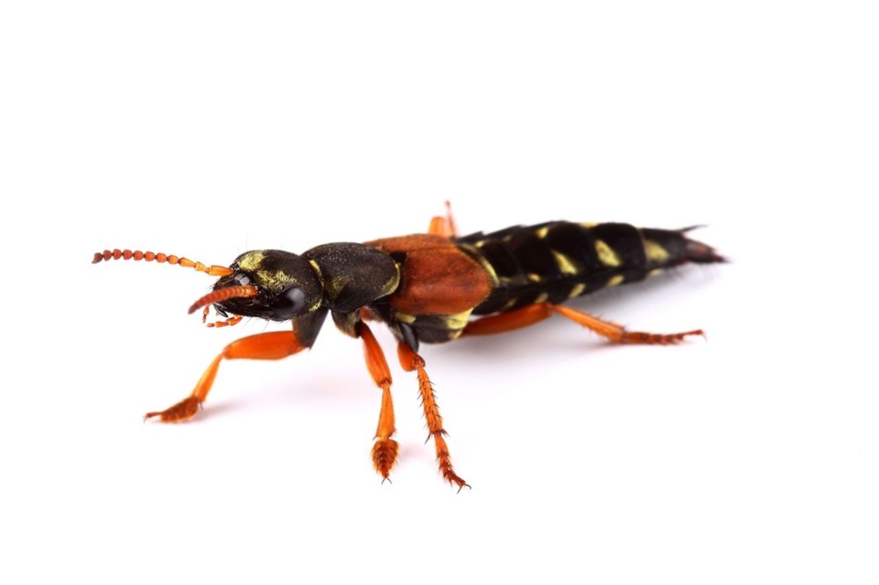 ขอบคุณภาพจาก สสส. www.thaihealth.or.th