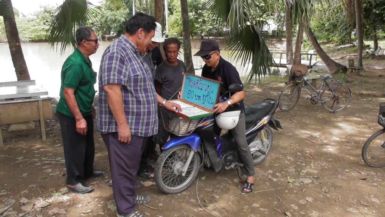 แผงขายลอตเตอรี่สีหลายสีเป็นสีรุ้งเหมือนกับชื่อ