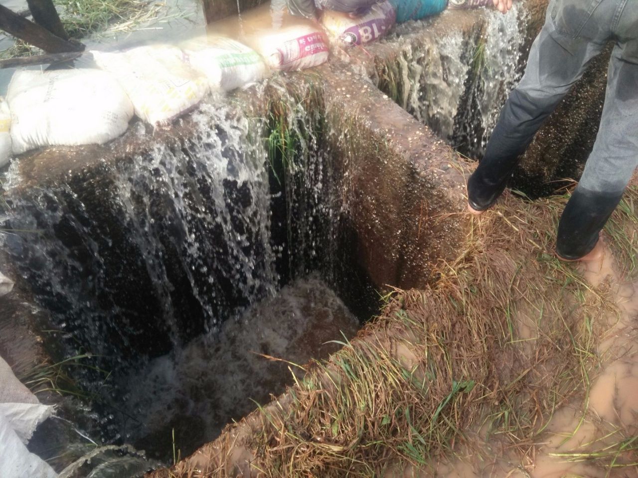 จุดที่พลัดตก