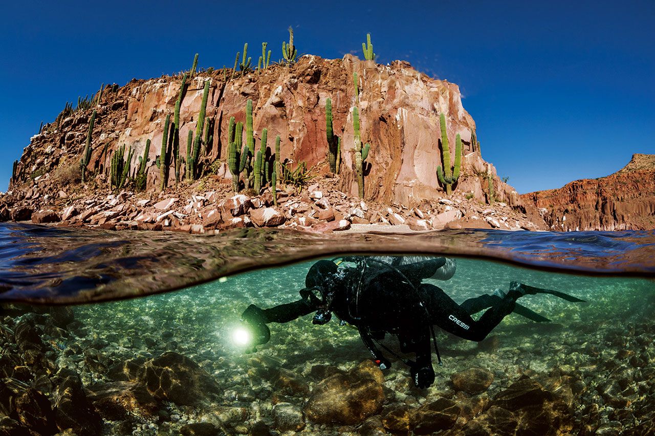 ออกตาเบียว อาบูร์โต ดำน้ำใกล้อิสลาเอสปีรีตูซานโตในอ่าวแคลิฟอร์เนีย นักชีววิทยาทางทะเลผู้นี้ศึกษาว่า เพราะเหตุใด เขตสงวนบางแห่งประสบความสำเร็จ ขณะที่แห่งอื่นล้มเหลว เขาพบว่าความลับอยู่ที่ชุมชนซึ่งอาศัยอยู่ที่นั่น