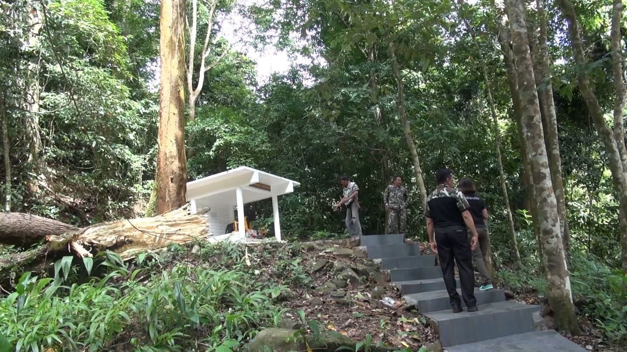 ต้นไม้หักแต่ไม่โดนศาล