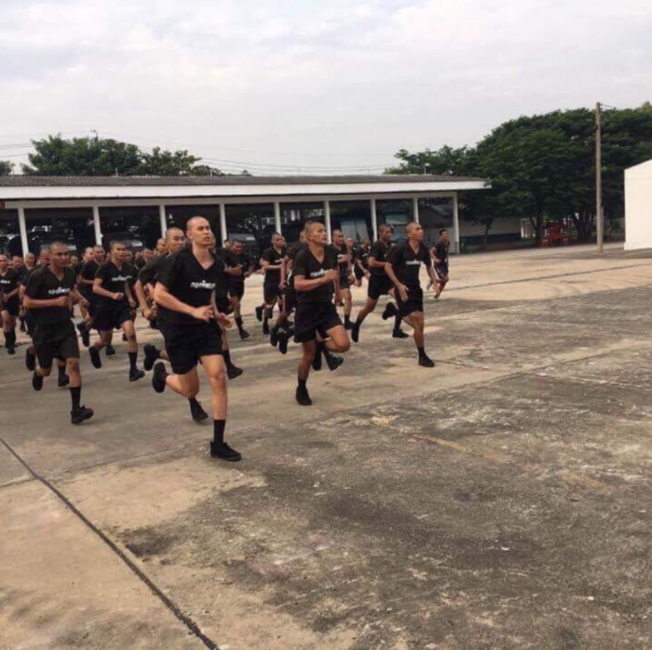 ใครเห็นแมนบ้าง?