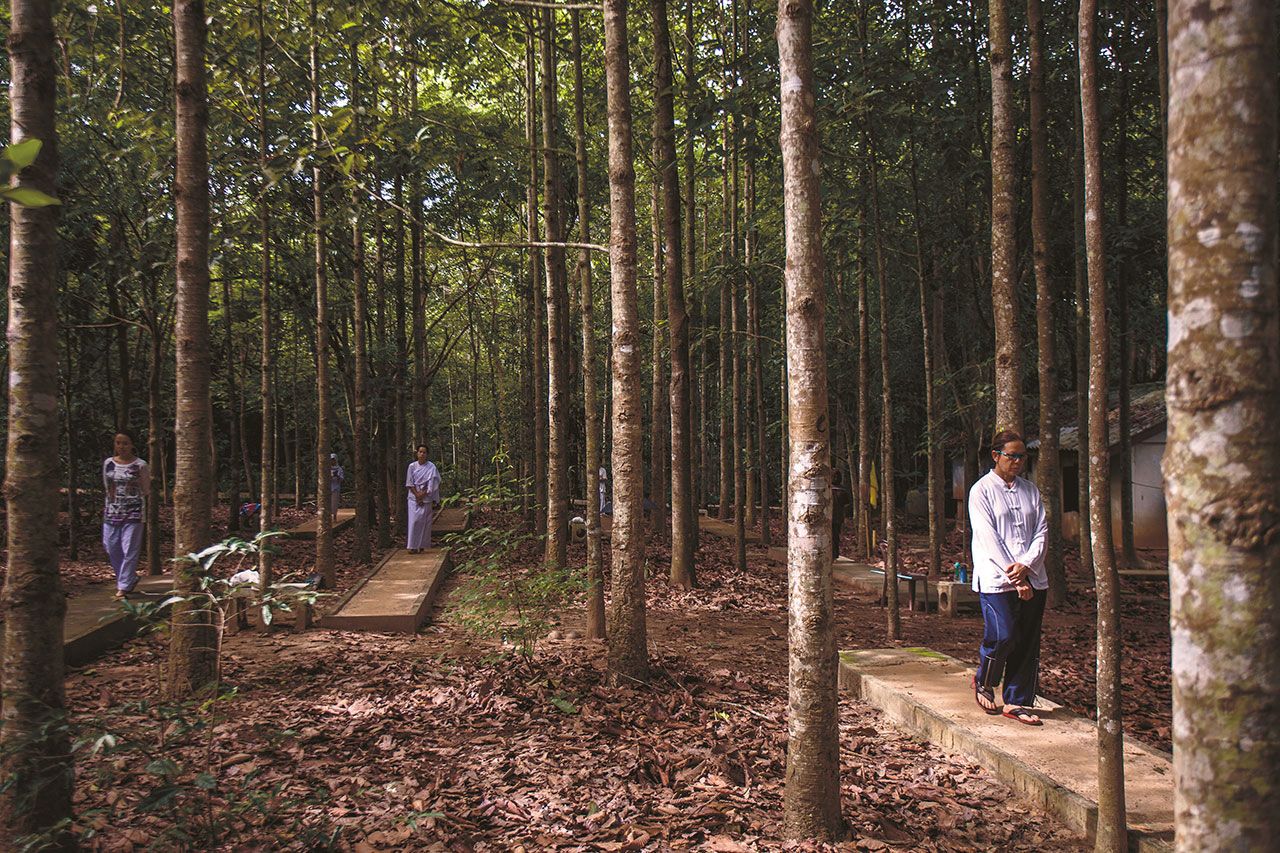 ภายในวัดป่าสุคะโต นอกจากความเงียบสงบแล้ว ยังเต็มไปด้วยต้นยางนาร่มรื่นเต็มพื้นที่ 500 ไร่ ยังประโยชน์แก่ผู้ใฝ่ใจปฏิบัติธรรม ขณะเดียวกันชาวบ้านก็ได้อาศัยเก็บเห็ดระโงกที่พบมากในป่ายางนาซึ่งถือเป็นแหล่งอาหารสำคัญของชุมชน