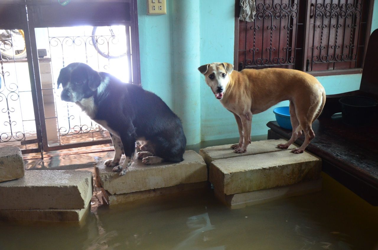 บ้านของนายวันชาติ นิสพร