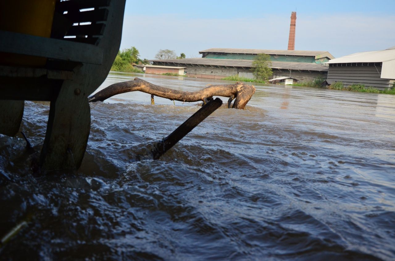 ตอไม้ไหลมาติดที่ระเบียงบ้าน