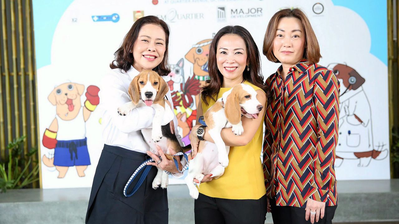 สุวิมล บุญทารมณ์, สุธาวดี ศิริธนชัย, เพชรลดา พูลวรลักษณ์ ชวนคนรักน้องหมามาเที่ยวงาน.