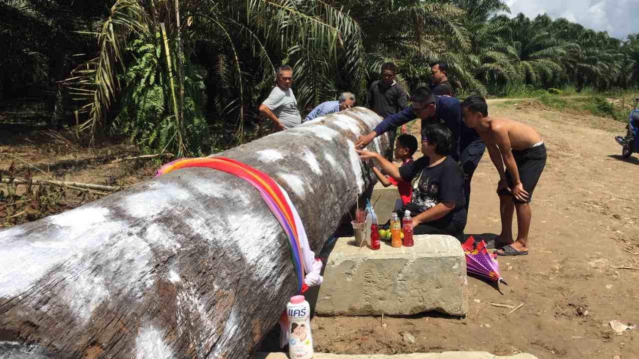 เลขอะไรเอ่ย