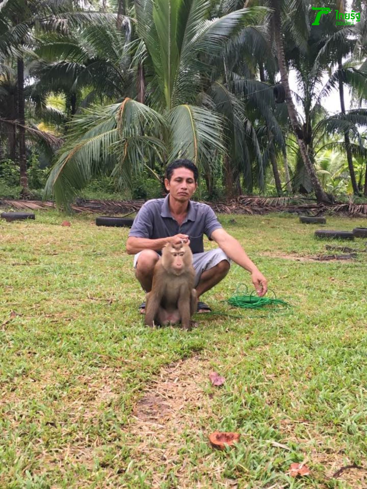 โรงเรียนฝึกลิง 