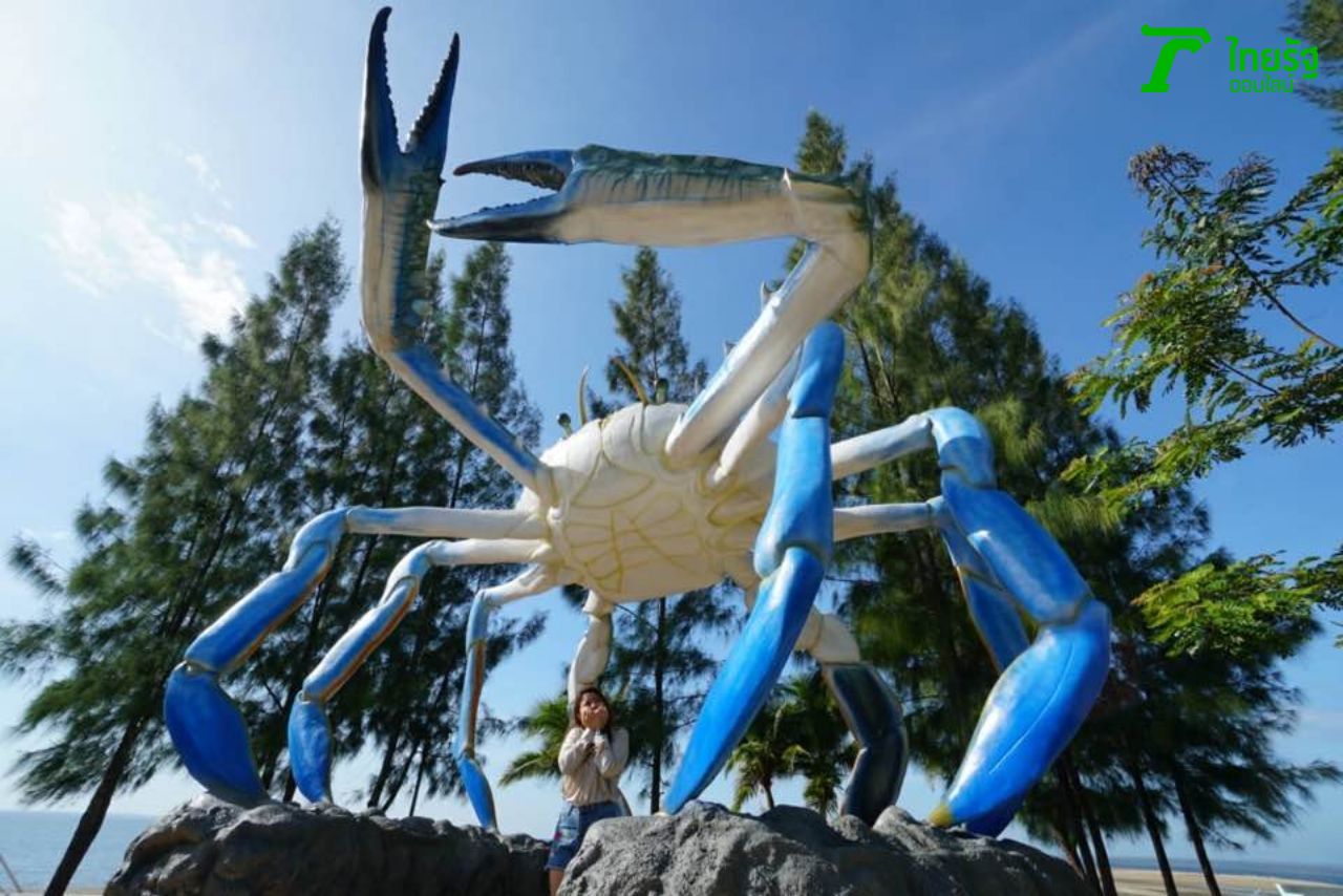 ปูม้ายักษ์