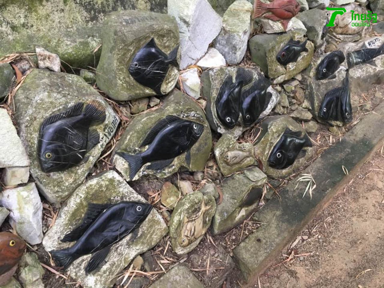 ปลาหินสวยๆ