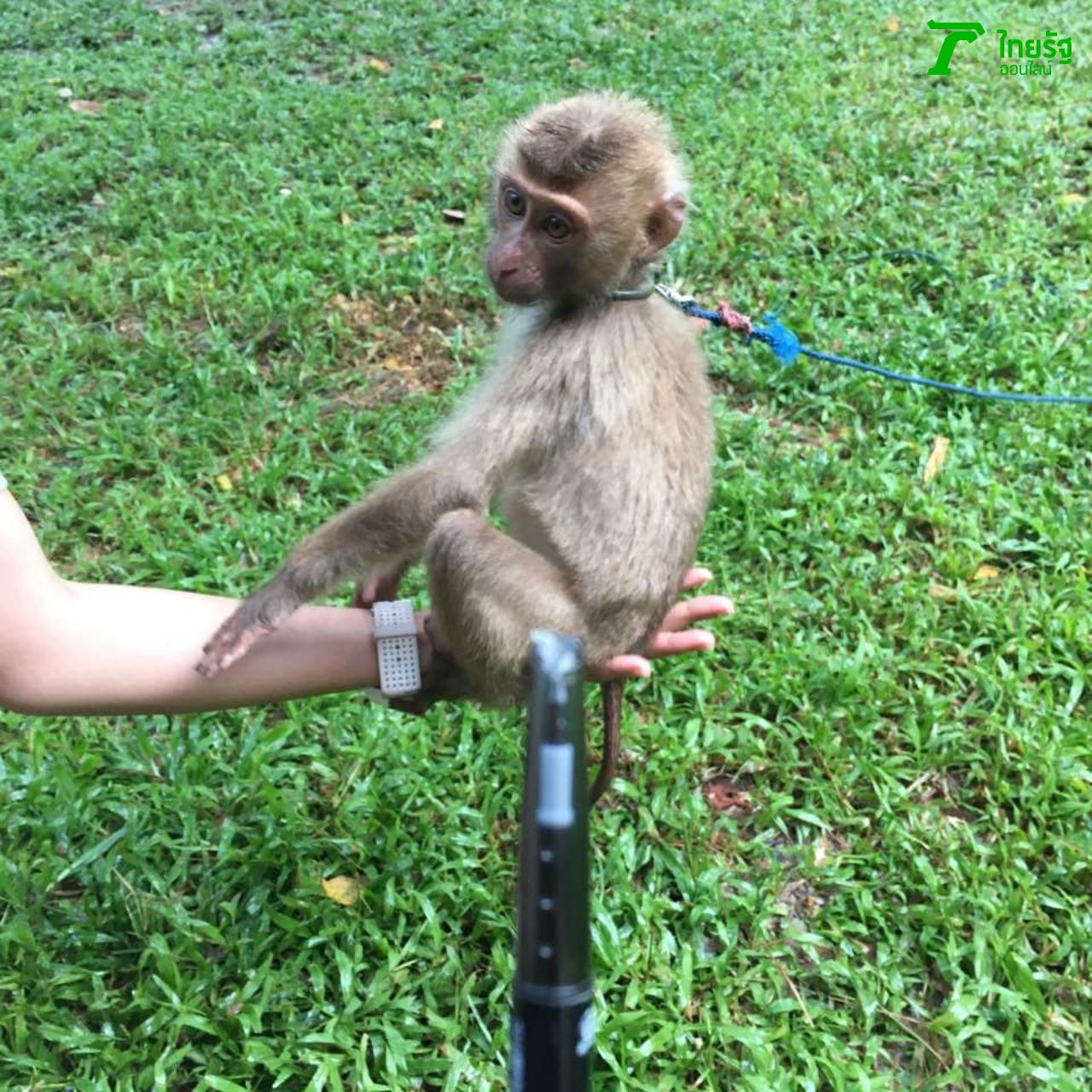 น้องลิงตัวนี้ชื่อไข่ปลิ้น :)