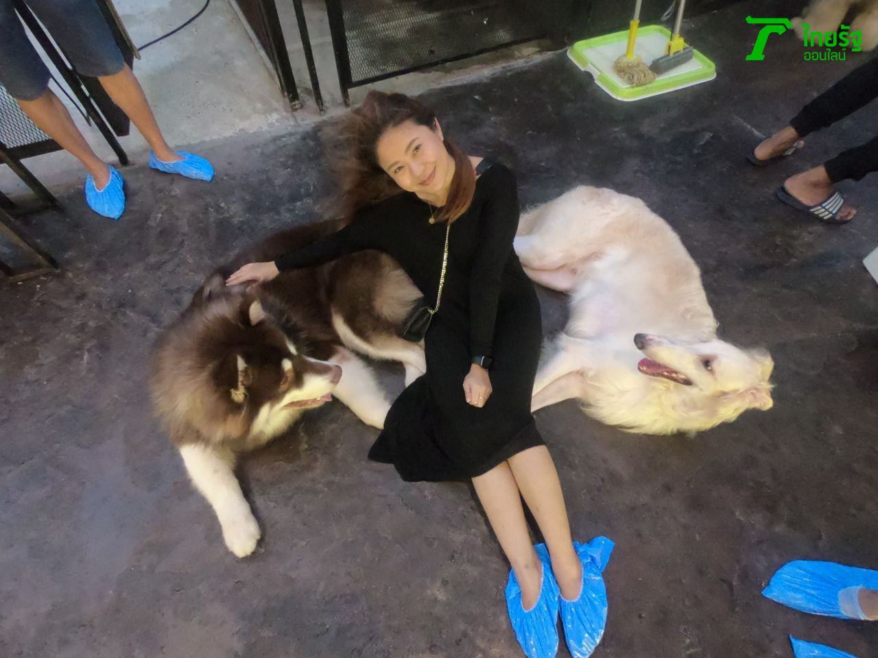 ทางร้านจะมีถุงเท้าสีฟ้าให้ทุกคนใส่ เพื่อความสะอาดของเราและเด็กๆ