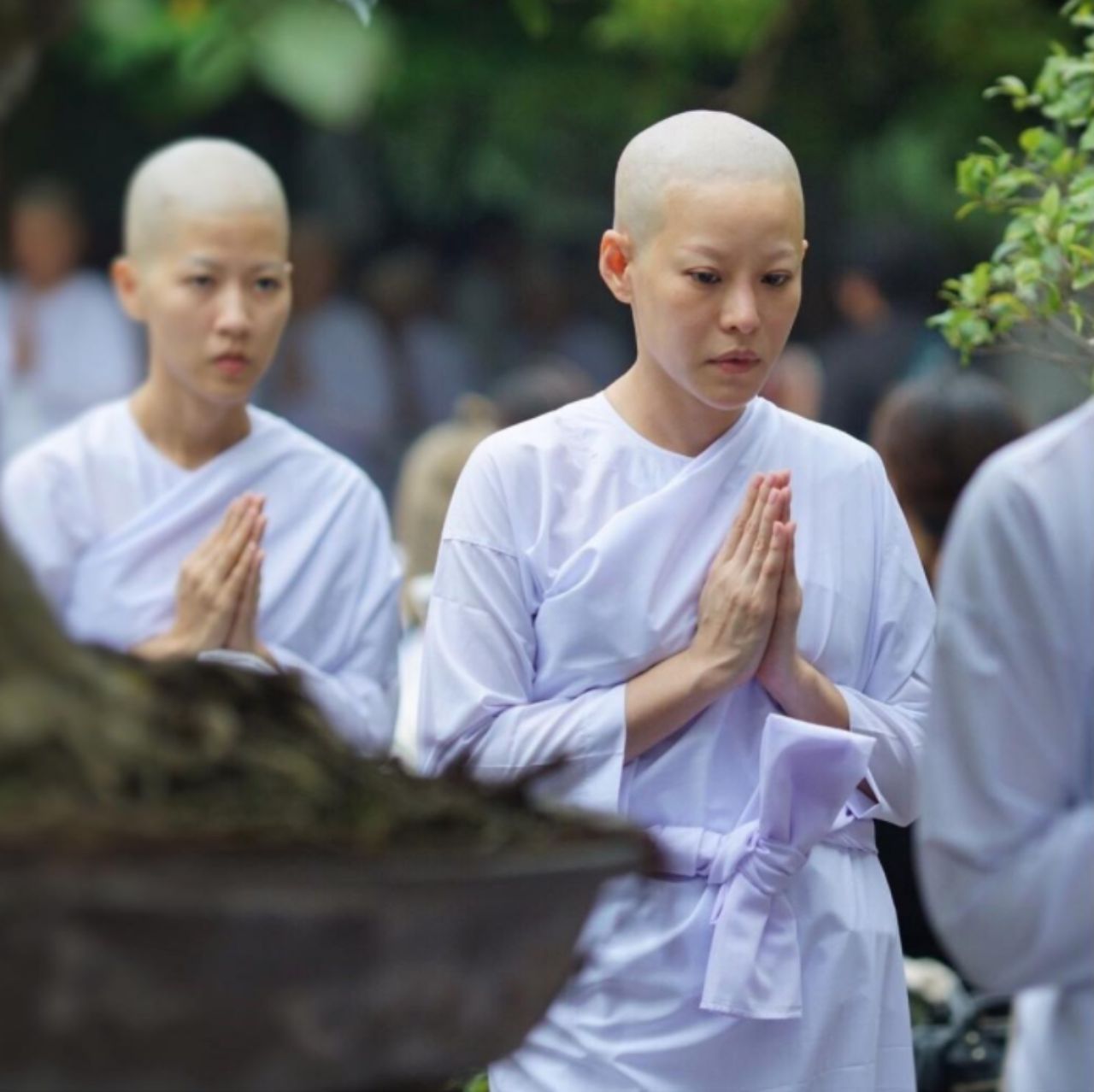 หนิง ปณิตา