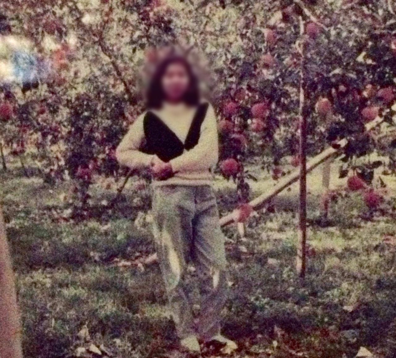 ภาพเมื่อเกือบ 20 ปีก่อนของมาโกะ