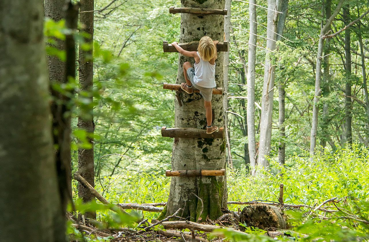 แค่ได้ปีนป่าย ความสนุกก็เริ่มมาแล้ว 